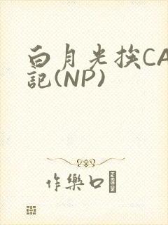 白月光挨CAO记(NP)
