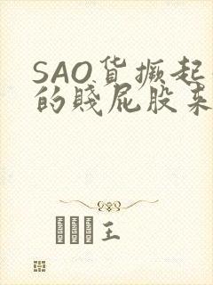 SAO货撅起你的贱屁股来