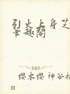 引火上身芝麻糖笔趣阁