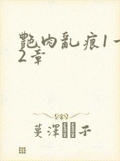 艳肉乱痕1一12章封面