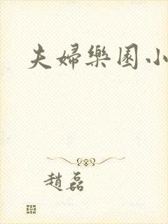 夫妇乐园小说封面