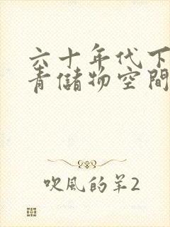 六十年代下乡知青储物空间