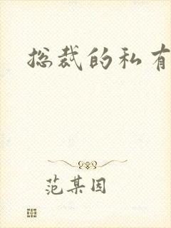 总裁的私有宝贝