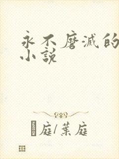 永不磨灭的番号小说封面