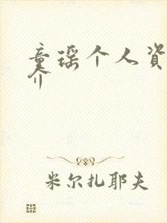 童瑶个人资料简介