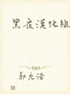 黑夜汉化组