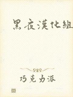 黑夜汉化组