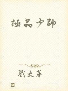 极品少帅