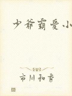 少爷霸爱小丫头