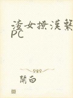 渣女撩汉系统NPC封面