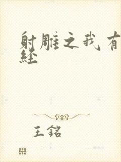 射雕之我有太玄经