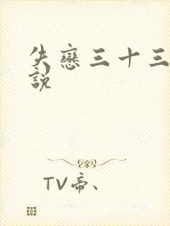 失恋三十三天小说