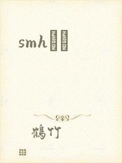 smhС˵