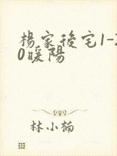 杨家后宅1-20暖阳