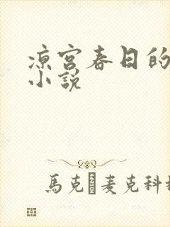 凉宫春日的忧郁小说