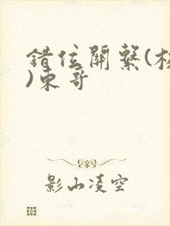 错位关系(校园)东哥