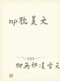 np耽美文