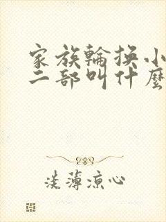 家族轮换小说第二部叫什么名字