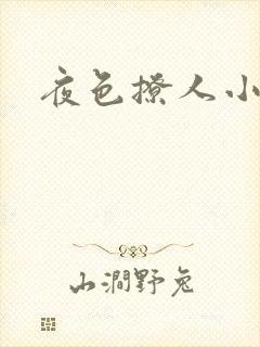 夜色撩人小说