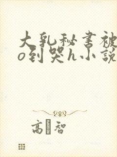 大乳秘书被cao到哭h小说