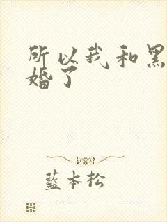 所以我和黑粉结婚了