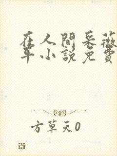 在人间采薇陆三平小说免费阅读