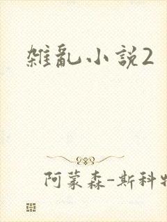 杂乱小说2
