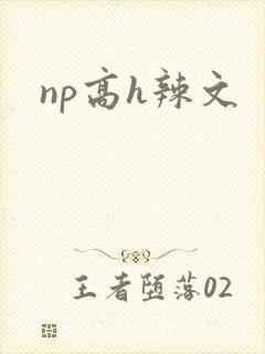 np高h辣文