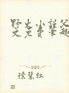 野火小说父女全文免费笔趣阁