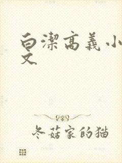 白洁高义小说全文