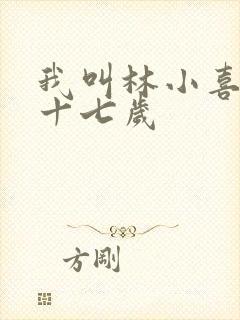 我叫林小喜今年十七岁封面
