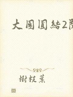 大团圆结2阅读