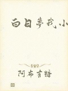 白日梦我小说