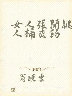 女人张开腿让男人桶爽的