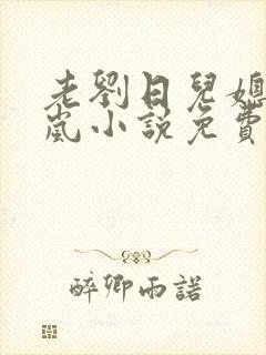 老刘日儿媳妇张岚小说免费阅读