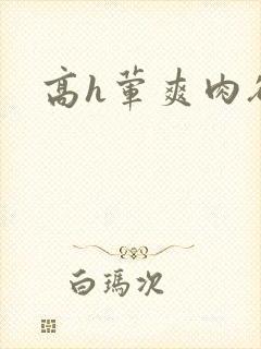高h荤爽肉欲文