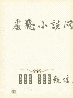 卢飞小说网封面
