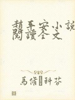 赵平安小说免费阅读全文