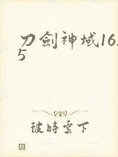 刀剑神域16.5