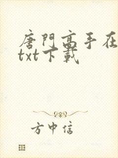 唐门高手在异世txt下载