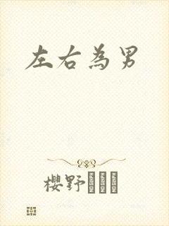 左右为男封面