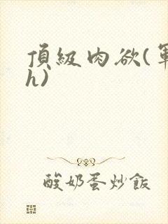 顶级肉欲(军高h)