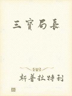 三宝局长封面
