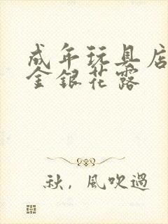 成年玩具店by金银花露封面