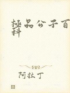 极品公子百度百科