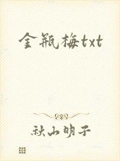 金瓶梅txt封面