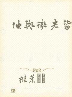 他与微光皆倾城