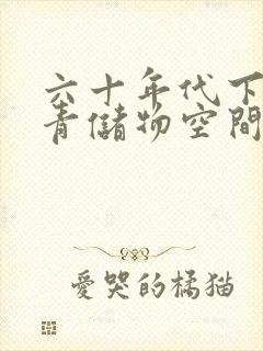 六十年代下乡知青储物空间