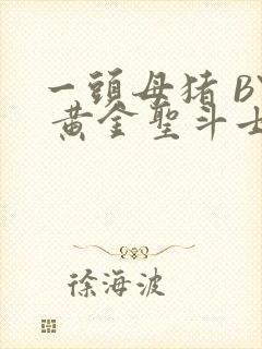 一头母猪 BY 黄金圣斗士