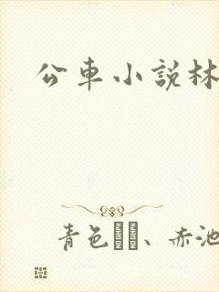 公车小说林蔓蔓